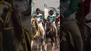 Coming Soon || Sultan International Tent Pegging Tournament 2024 || Beautiful Horses Show