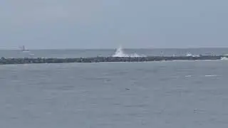 Little splashes in the distance at South jetty 1/3/26