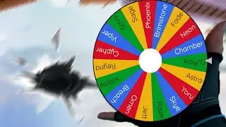 Letting Random Wheel Decide What Agent I Play
