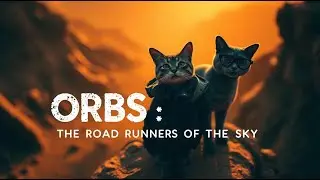 The Meow Files: Orbs, The Roadrunners of the Sky