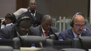 The role of the Pan-African Parliament in the process of integration in Africa