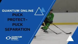 Puck Protect - Separation - Stationary | Puck Skills for Hockey | Quantum Speed