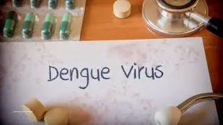 Hawai&lsquo;i confirms 11th dengue case of 2025