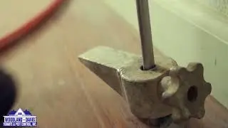 The Local Guys Termite and Pest Control Woodland Indoor Treatment