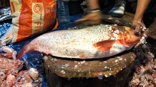 🔴 Live Fish Cutting ASMR | Fresh Seafood Processing from Market | For USA & Europe Viewers
