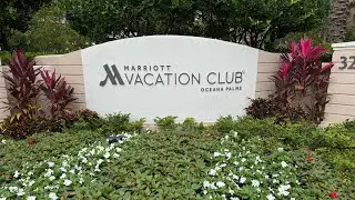 Marriott Oceana Palms Oceana &mdash; угловая вилла, расположенная на северо-востоке.