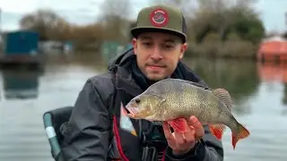 Perch fishing from the kayak