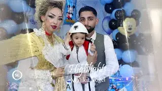 Highlights-Malikit Vogel | Te Familja Hoti | By Studio Lali