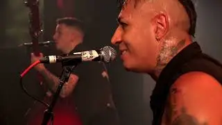 THE BRAINS 