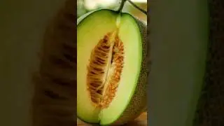 Honeydew melon amazing benefits