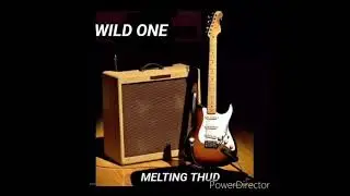 Wild One - Melting Thud