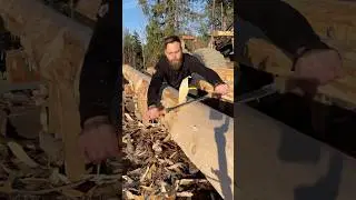 Log peeling 🪵 #woodworking #timber #shorts