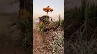 Sugarcane harvester for lodging stalks