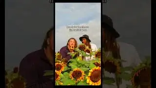 #sunflower #sunflowers #excited #heybro #rap #rapper #hiphop