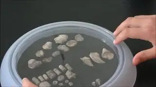 Fossil clock display project.