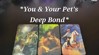 *How can You Deepen Your Bond with Your Pet?* *Messages from Your Pet* 😊💖🙏🐶😺🐴🐠🐸🐰🦜🦋 
