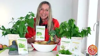 Broccoli powder - organic, raw superfood, easy to use- children love to color their meals