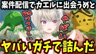 案件配信でも天敵のカエルに出会ってしまい絶叫する小森めと【ぶいすぽ/切り抜き/七つの大罪Origin】