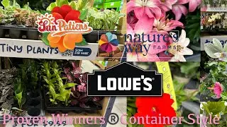 Lowe&rsquo;s Garden Center has Loads of Garden Goodies! 🌺+ Costa Farms Assorted Tiny Plants 🪴