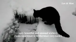 Bizarre icicles and frozen river! Winter Trip with my cat Mini! Norway / Причудливые сосульки!