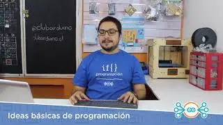 Ideas básicas de programación