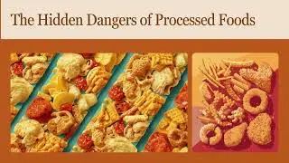 Presentation   Processed Foods Explained