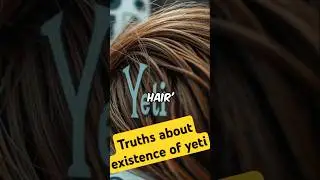 Folklore vs. Science: The Truth About the Mysterious Yeti!