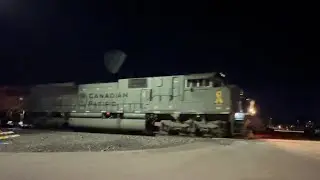 CP #7020 (Army Temperate Regions) Lead&rsquo;s The SB G-SWEMOD3-04C With CPKC DP Unit 1/8/24.