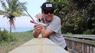 Catch365-Double Split Ring