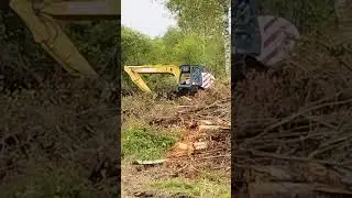 тяним бегимота из болота