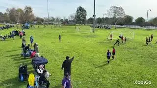 DB vs Chino U10G- semifinal 1-25-26