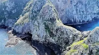 Dive Poor Knights Islands, New Zealand