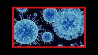 What is norovirus? 2018 Winter Olympics plagued by vomit-inducing bug