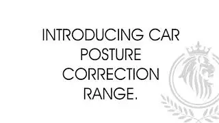 MARRON CRUISER BACKREST FOR SPINE SUPPORT IN MEMORY FOAM CORE