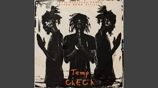 Temp Check