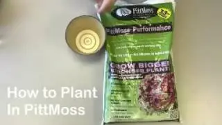 How To Plant In PittMoss