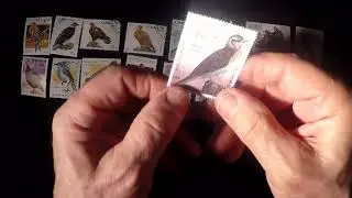 ASMR TIMBRES OISEAUX COLLECTION UNBOXING SOMMEIL RELAXATION MEDITATION