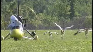 Ground training - Flight School