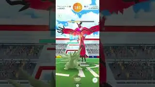 Yveltal duo