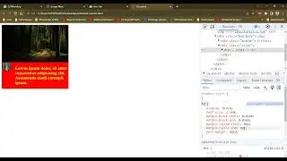 How to Make Cards Using Flex Property in HTML and CSS