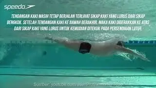 Renang Gaya Kupu kupu (Bahasa indonesia)