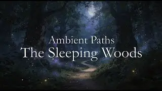Ambient Paths - The Sleeping Woods - Fantasy Music ♫⋆｡♪ ₊˚♬ﾟ.
