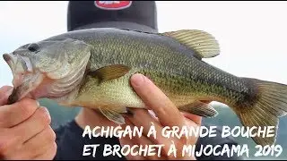 Achigan &agrave; grande bouche et brochet &agrave; Mijocama 2019 - Sixi&egrave;me Sens