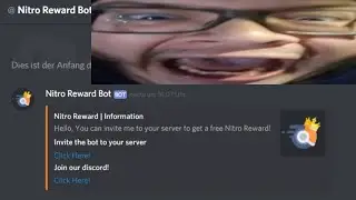 How to deal with Discord free nitro scam