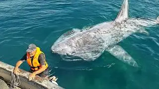 😱Глаза Отказываются Верить, Но Это Видео Удалось Снять На Камеру Лучшее за 2025