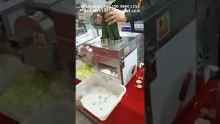 Positioning stainless steel cucumber cutting machine #cucumber #cuttingmachine