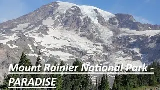 Paradise at Mount Rainier National Park: Best Views & Tips for Your Visit