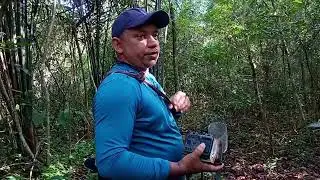 Indo deixar as câmeras na ceva das pacas, mata muito tença chão molhado barulho de pisado sinistro!