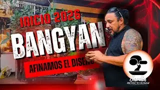 Ficus Banyan Emblem&aacute;tico | Inicio del Afinado y Modelado 2026 🌳✂️