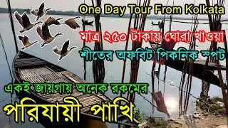 জনপ্রতি ৪০ টাকায় নৌকায় চরে বিদেশী পরিযায়ী পাখি দেখে আসুন - Kom Khoroche Tour Plan Near Kolkata